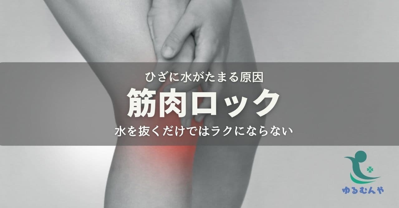 ひざに水がたまる原因は筋肉ロック!根本からラクになる方法とは?