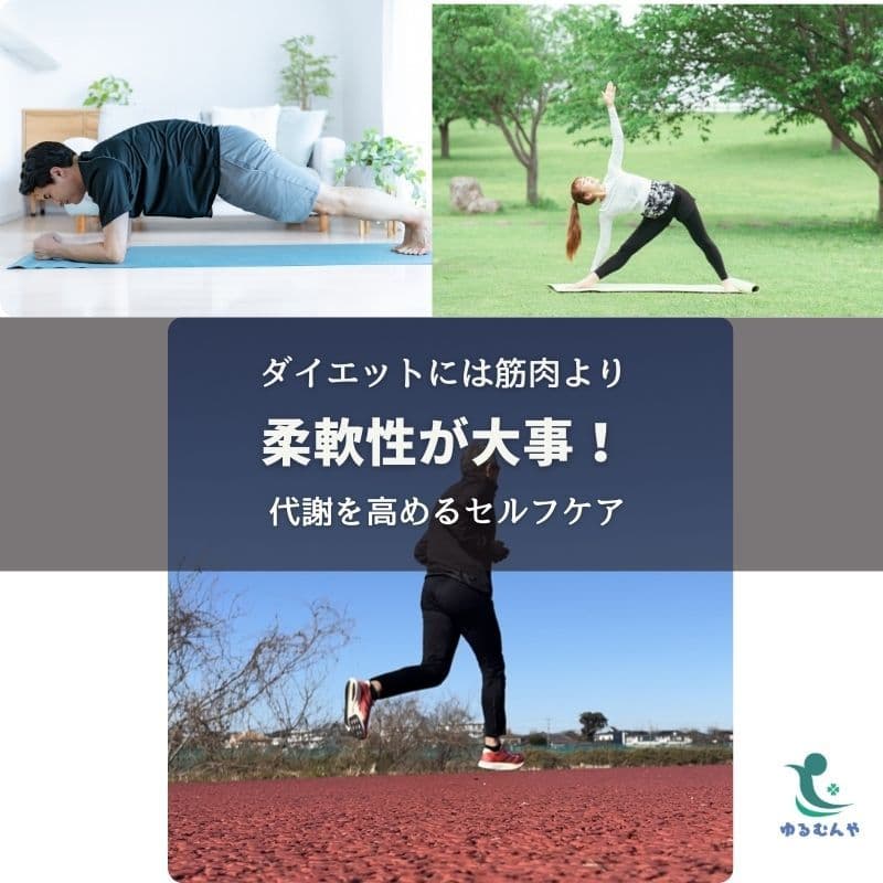 筋肉の柔軟性がダイエットに必要!代謝を高めるセルフケアのイメージ画像