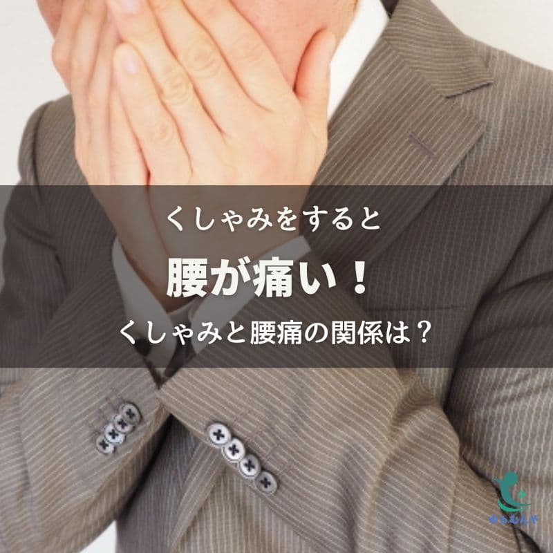 くしゃみで腰痛が走る理由は?原因とセルフケアを福岡の整体師が解説のイメージ画像