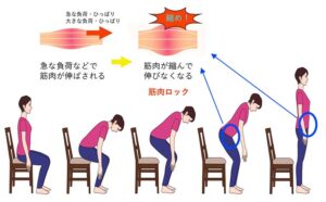 立ち上がるとき大腰筋がロックする