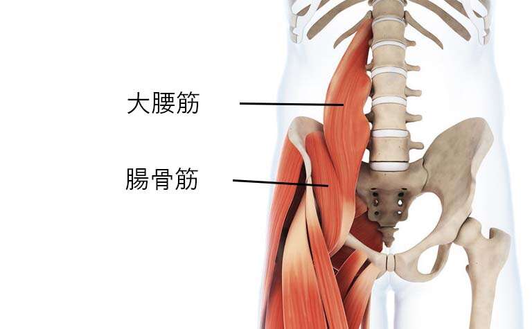 大腰筋、腸骨筋