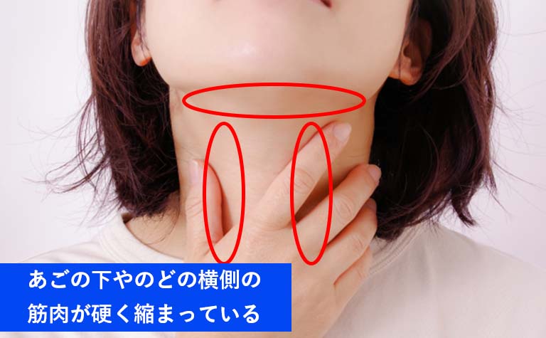 あごの下やのど周辺の筋肉